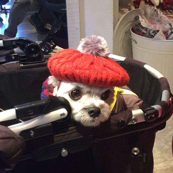 9a835577 da97 47f8 90df e76c2735a948 1514637462985