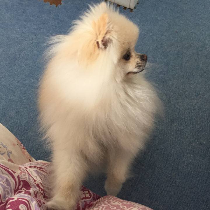 9a835fbd 6a38 4040 83c5 27e5ca167db7 1520594005902