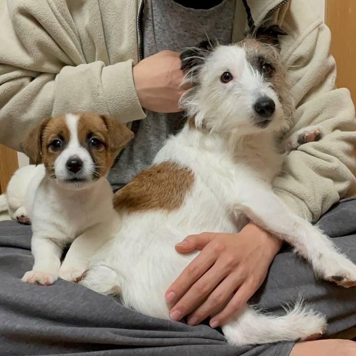 9a837a6b ff4c 42b1 8fb6 21f0a83153e0 1734256562745