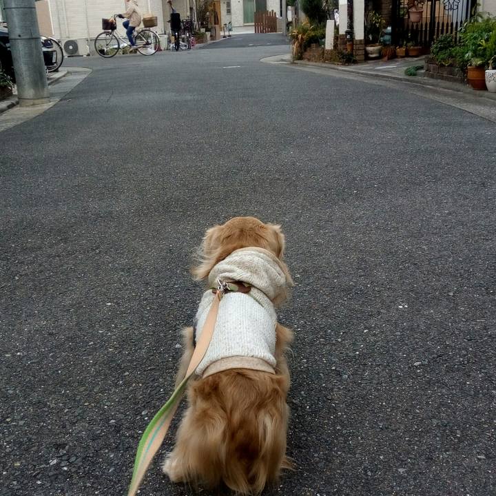 9a838b15 ff2a 48da 9dc0 2abf34017094 1543477003569