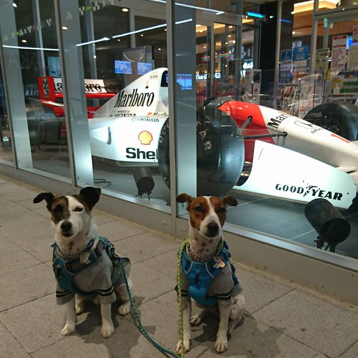 9a83967d a448 403f 9924 3c8ab664deac 1605689461880