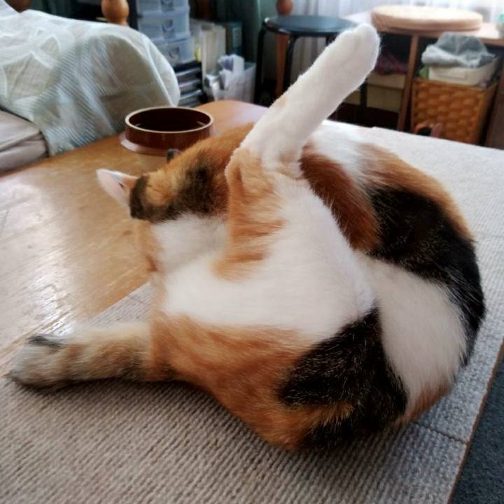 9a839c23 136f 4765 bff1 6e80a54cc3a3 1598613962013