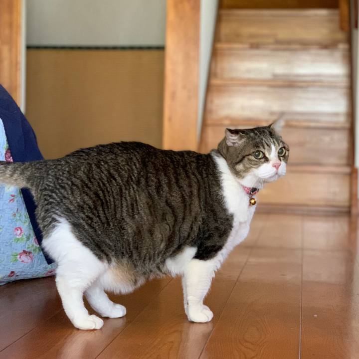 9a83bf61 9e21 40ff 9b55 da3fdef06384 1714283546206