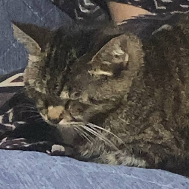 9a83d1ce 8a76 48f2 823f 99b054e403b5 1759308109161