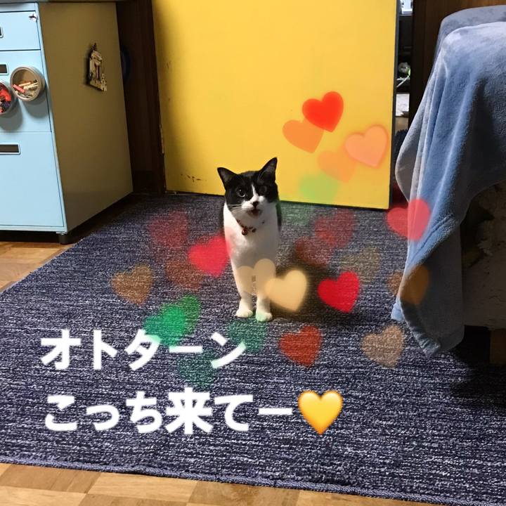 9a83edc9 6636 43ba 8814 02bf762ca6a9 1543759054970