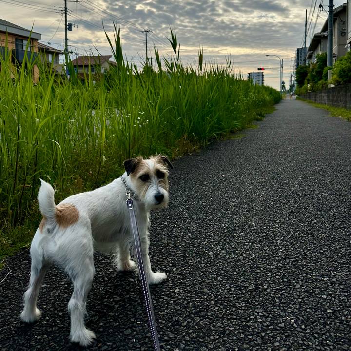 9a8410ad f197 4293 8cab b38ba5e54ae0 1717989529929