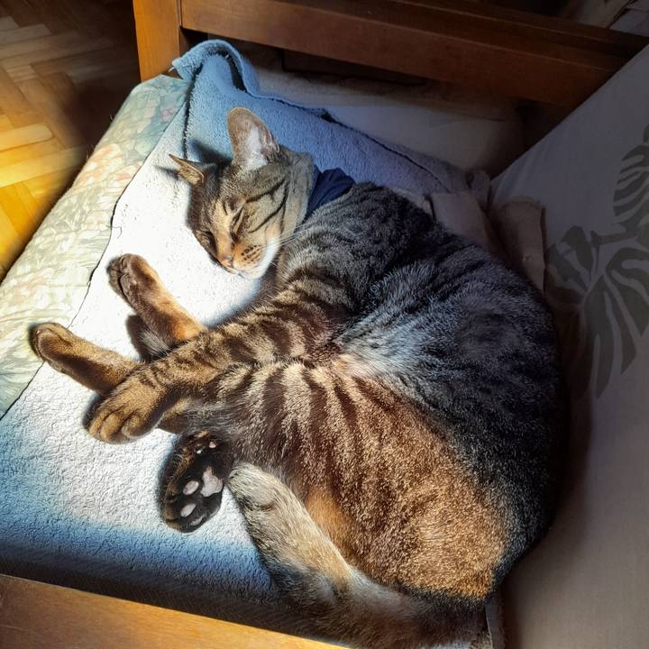 9a842485 ab20 4268 9973 21337097fe6e 1756399337414