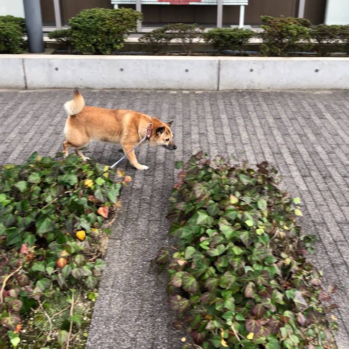 9a843904 56e3 44dd a511 0c0da7fd0d07 1510874802359