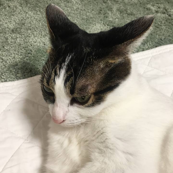 9a84438a 5dab 42ae bb13 c427ef1ecf02 1507806472121