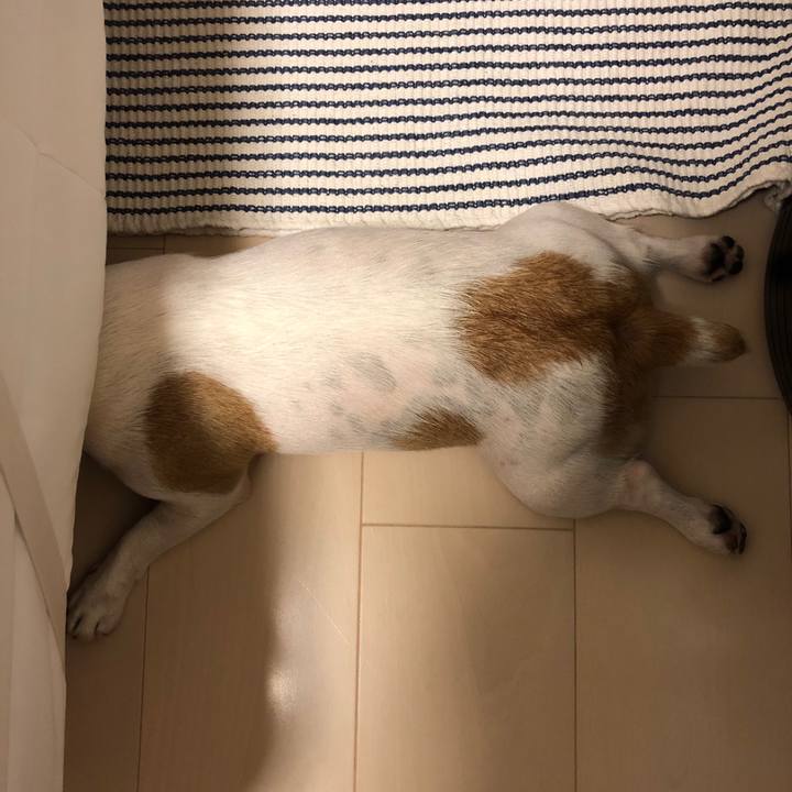 9a847926 19b6 40e5 b0ce 57c590a6da2b 1568726223313