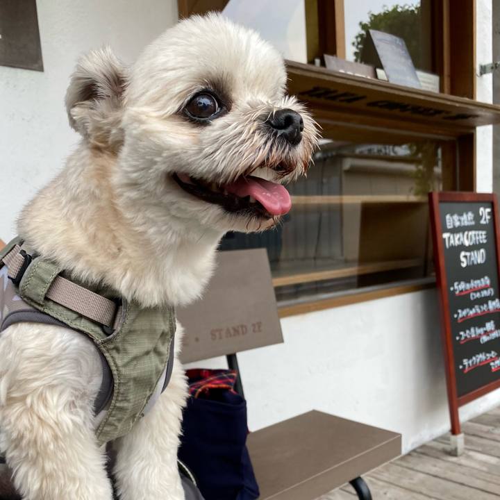 9a84a22f 0b7b 4235 9d57 460ff61d313e 1749472400156