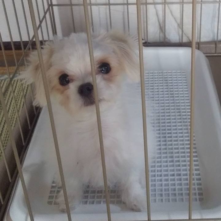 9a84c727 3a61 4647 8344 f4a05302fe4f 1671331506929