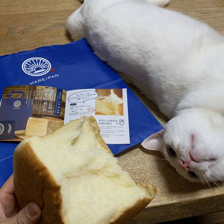 9a856d75 10c5 472a a11b 09a68a06a5b1 1611057482205