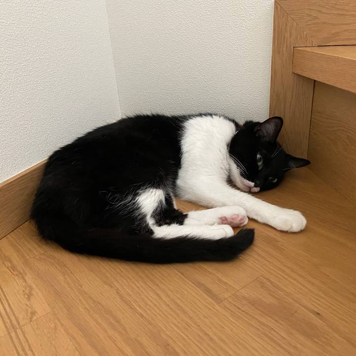 9a8577b1 b92e 48bd 9319 b4733be18d96 1628490411089