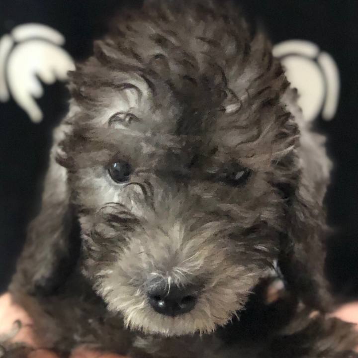 9a859c62 cfab 49c7 adc2 a6480126e387 1568590430463