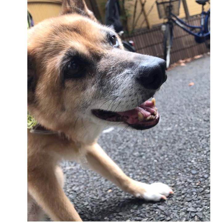 9a85c15c 0907 4615 86d6 e6ac5afb4dc0 1592045047130