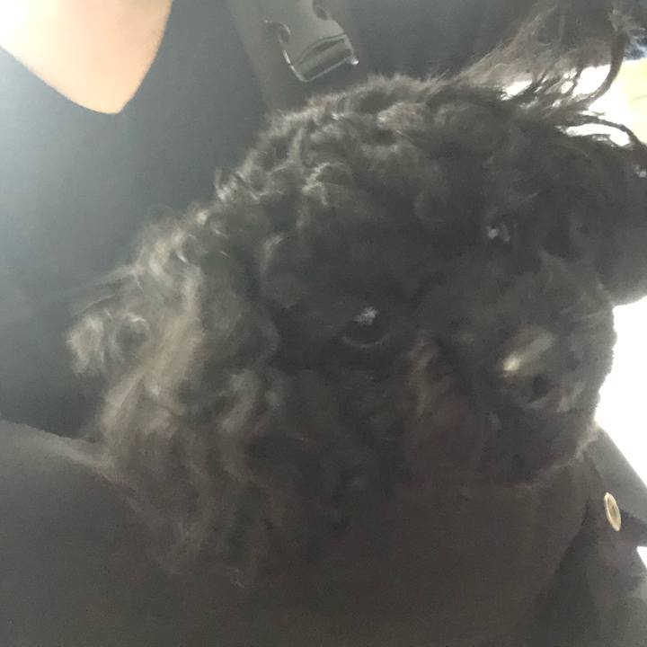 9a85d4c9 4da2 4cdc ae90 2f1977529871 1554726798596