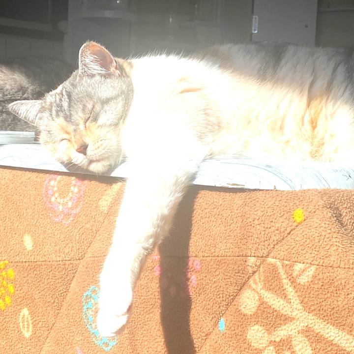 9a85e6b9 29c1 4d34 9b1f c8d2df6bb075 1672540011409