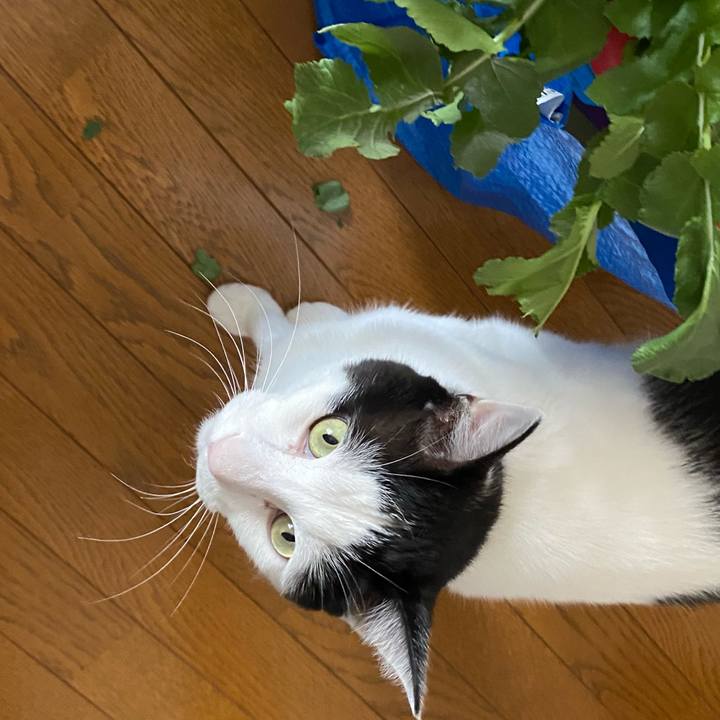 9a85f849 5ea9 4fd3 8ed3 ee9fed715720 1617365728393