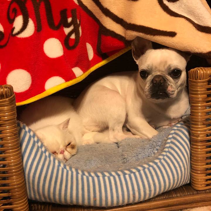 9a862b48 d66a 4dd1 8ba6 3cce34f8f322 1556362861530