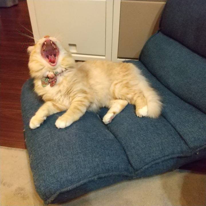 9a8636e3 3e85 4612 93d7 b5003dbd3a74 1636189138305