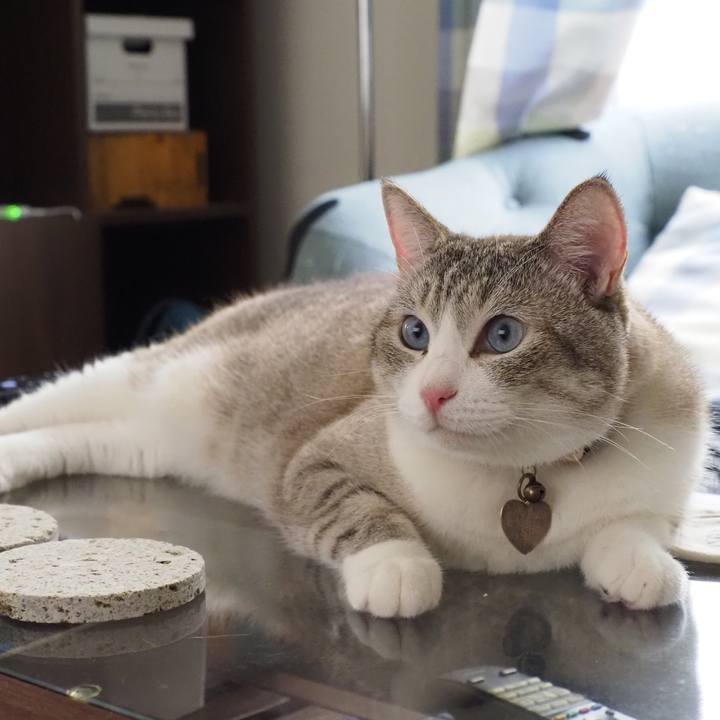 9a8641b2 acc9 439b 8704 eb60c8565c0e 1627007628735