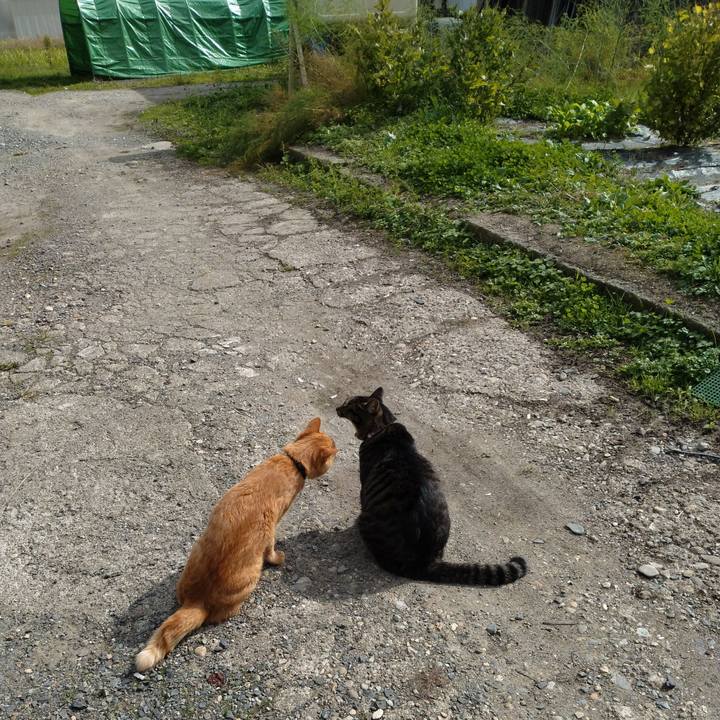 9a86632a 61ba 4000 bf65 6a03c739b4a6 1666405307183