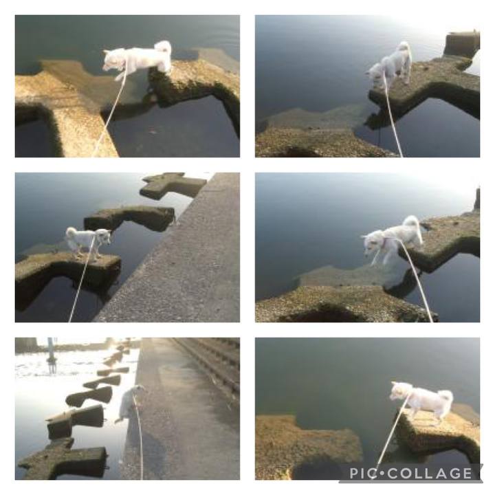 9a867223 881a 478b 93c1 a9f86eb1fcb2 1647893582036