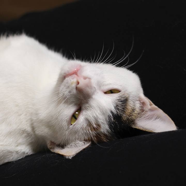 9a867579 9e1f 4424 91ad 7e49156080c3 1555120762075