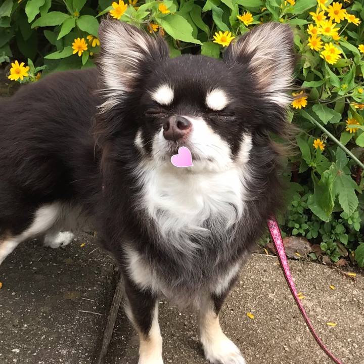 9a869535 6401 4685 b796 bb7437d817aa 1542547356016