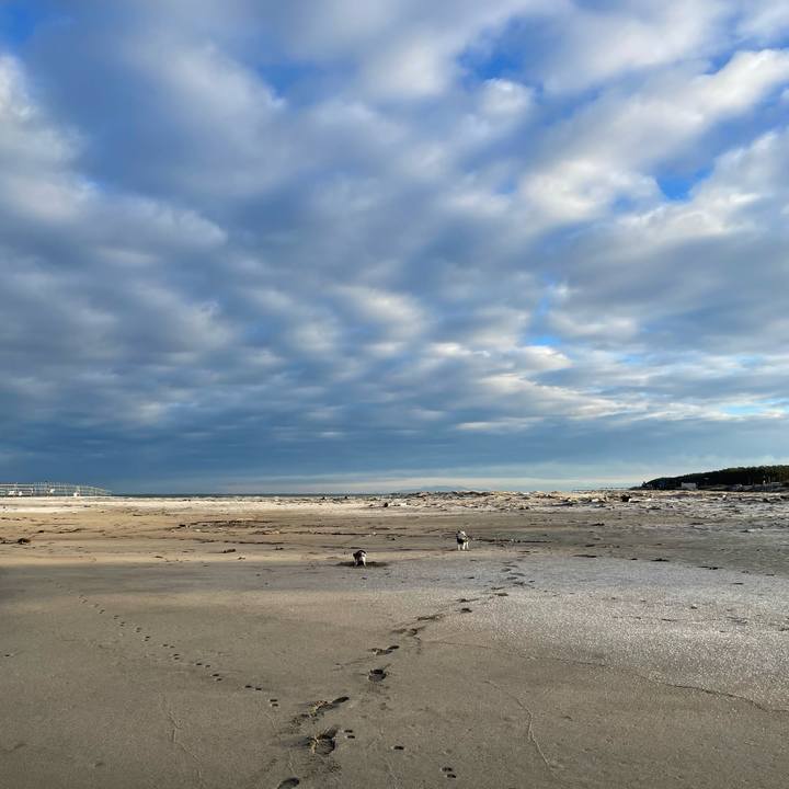 9a86b71a ddd0 477b 992e 3163c56f79cd 1704757720301