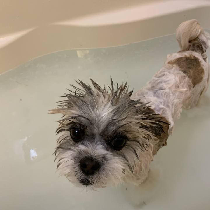 9a86e1bd 18d1 4b41 b404 71bfa53d45a0 1556006704659