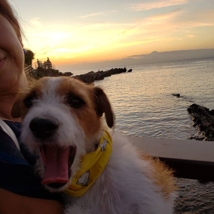 9a873431 3c0a 41f0 8085 e5c9a216180c 1570264597389