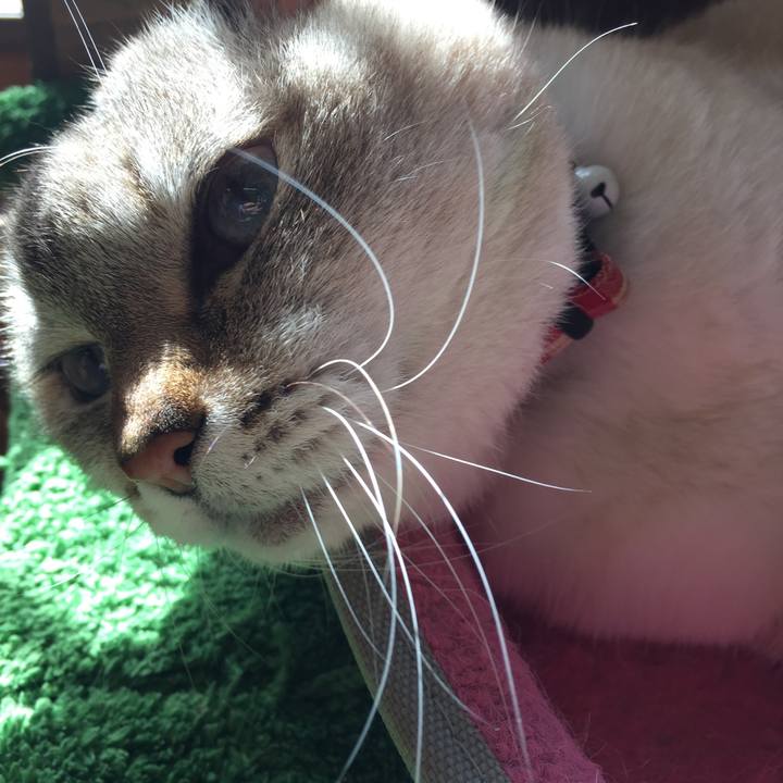 9a874b85 dd02 4c46 bef7 0932d14e3103 1582250781816