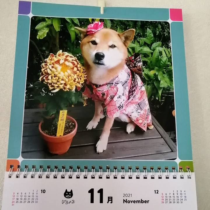 9a874e09 d271 43e7 9693 7dca055fef10 1635743706991