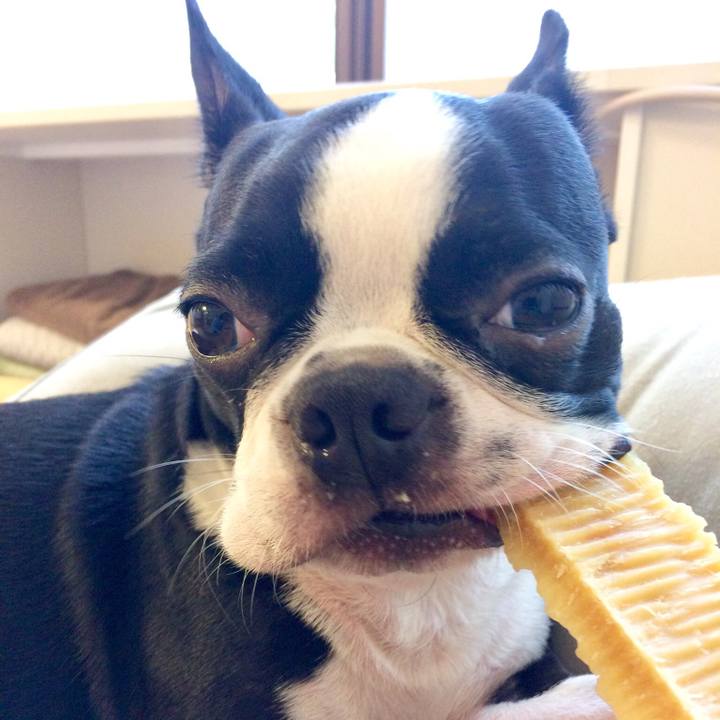 9a875763 7454 4f3d 9eb2 d054eaef5213 1510277005223