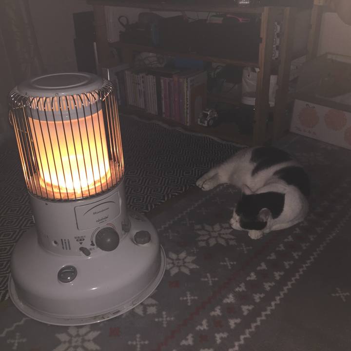 9a876c9b aa76 45fa 9951 63b919ee5cee 1553846961290