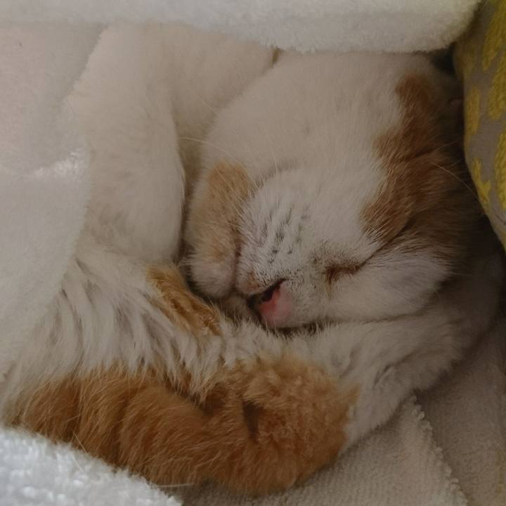 9a8771d1 3671 45e7 a093 33ce4192dcb6 1679653963151