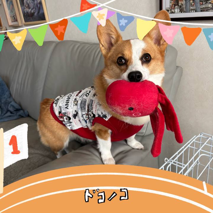 9a8797fc 8fe1 42cb 8254 6d33a0c64d51 1761267026078