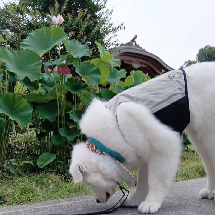 9a87aaf2 4279 4ecc b0e6 f357cc6f4f80 1720259920073