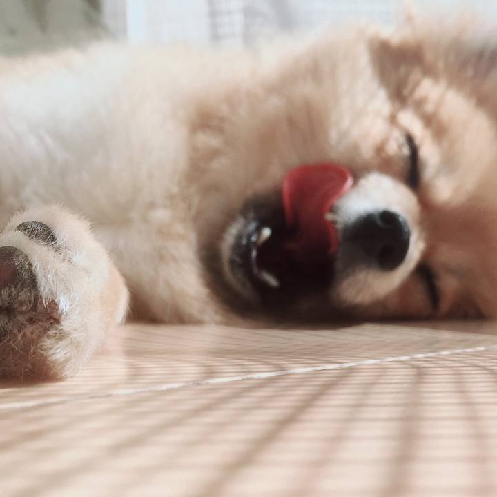 9a87d68f 025c 44e9 9912 2f33685410eb 1520247907623