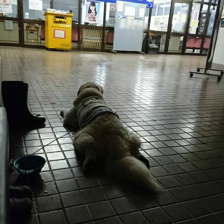 9a8818a9 1c93 41cd a672 a68380e4a570 1530879843263