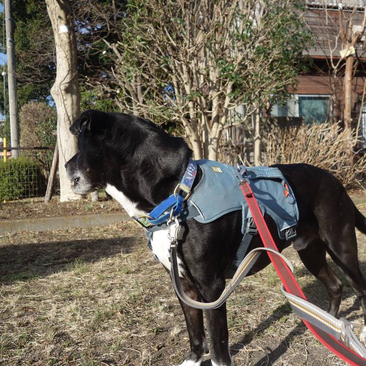 9a883b26 9075 4efd a223 fa783c5207c1 1709079809396