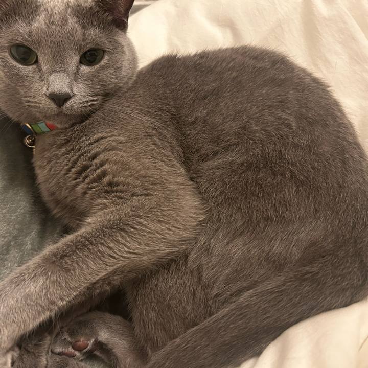 9a8842fd 07d3 4f36 9a9e 2a2433763774 1727052138863