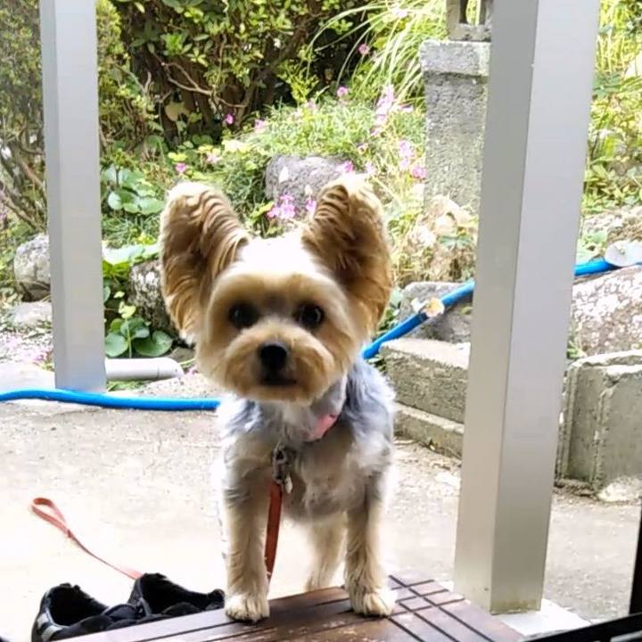 9a885b2f 0c44 4f11 8879 7b835a0d924d 1635577330474