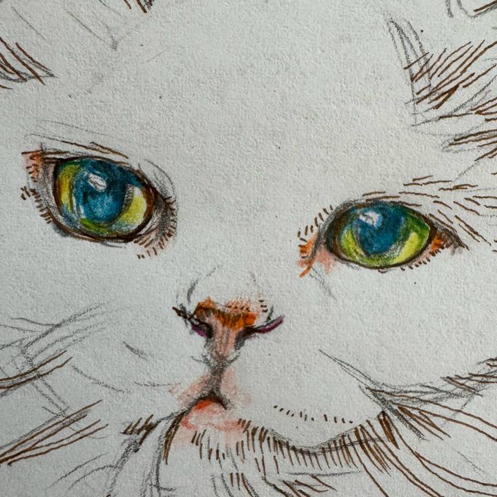 9a8899f8 78ab 4c98 86d3 e258acb46443 1756763676608