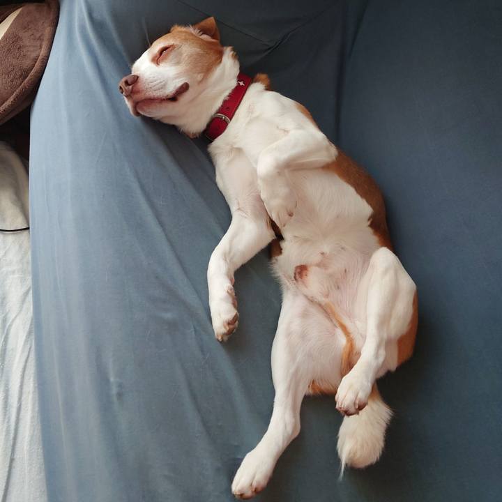 9a88b84e 62e0 468e a737 05cfa8986415 1724136633182