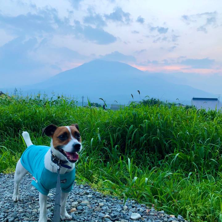 9a88c83d 9511 42a0 af2c 54f3fa43a265 1596622755234