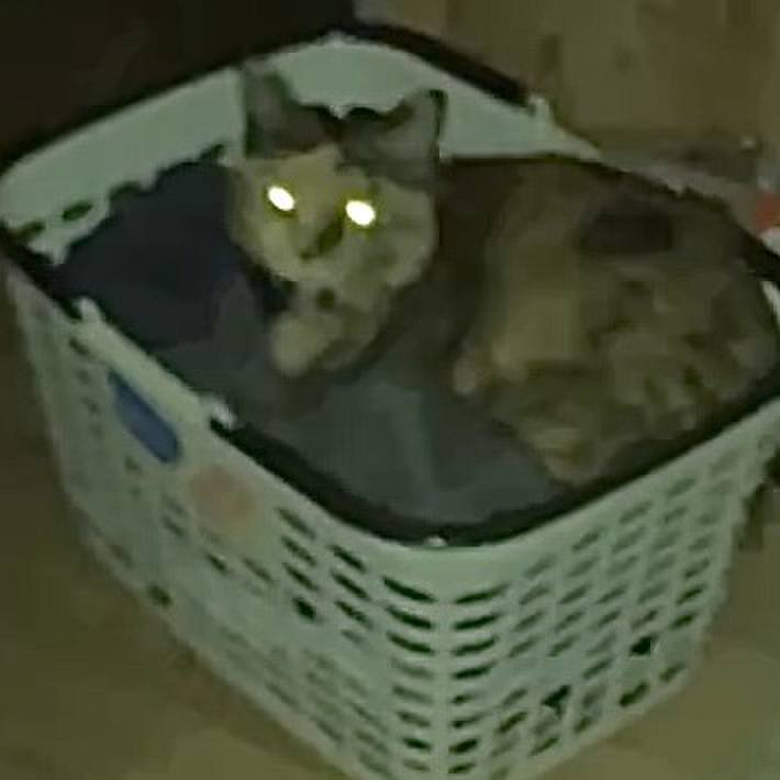 9a88f627 b4c4 46aa 8538 92d3359acd87 1735415812199