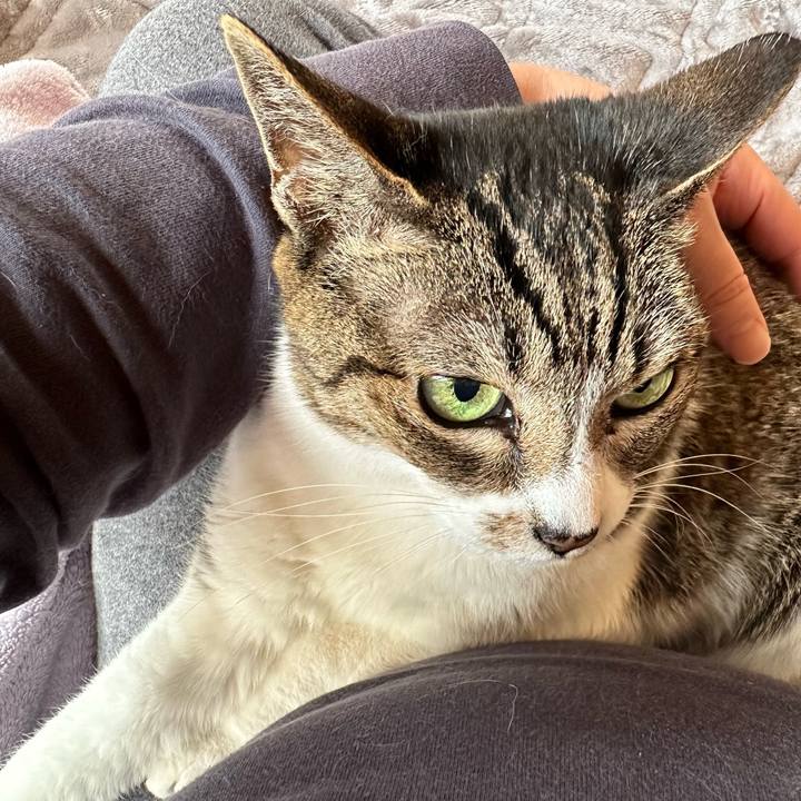 9a8916af ef4f 4ea9 8d81 b6b5851ce979 1682992379389